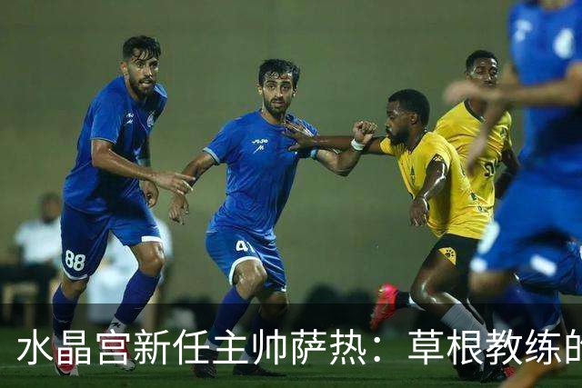 水晶宫新任主帅萨热：草根教练的崛起之路